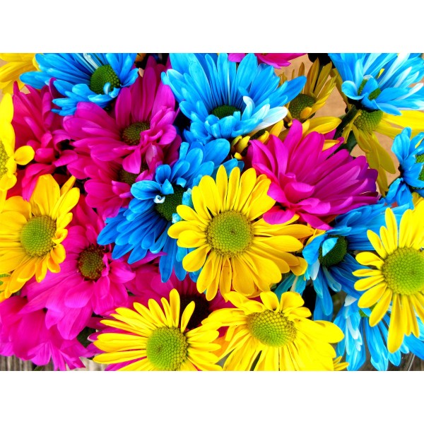 Rainbow Flowers Diamond Painting Kit - DIY Rainbow Flowers-11