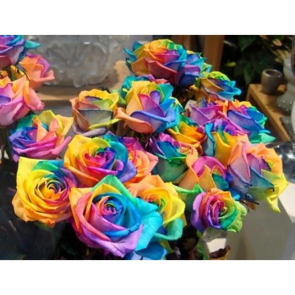 Rainbow Flowers Diamond Painting Kit - DIY Rainbow Flowers-17