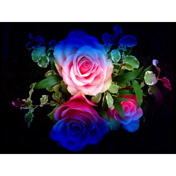 Rainbow Flowers Diamond Painting Kit - DIY Rainbow Flowers-10