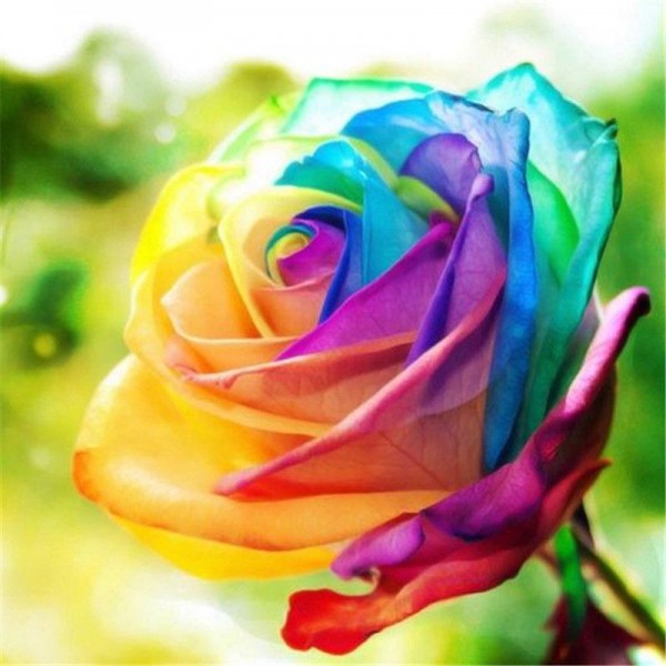 Rainbow Flowers Diamond Painting Kit - DIY Rainbow Flowers-2