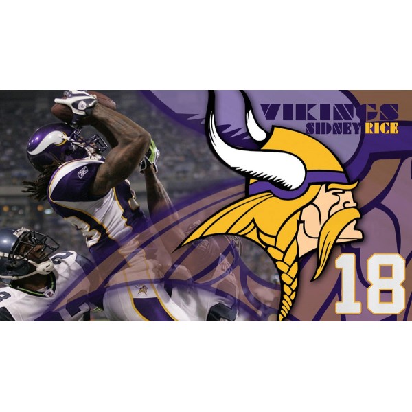 Minnesota Vikings Win Diamond Painting Kit - DIY