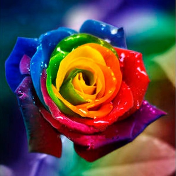 Rainbow Flowers Diamond Painting Kit - DIY Rainbow Flowers-13