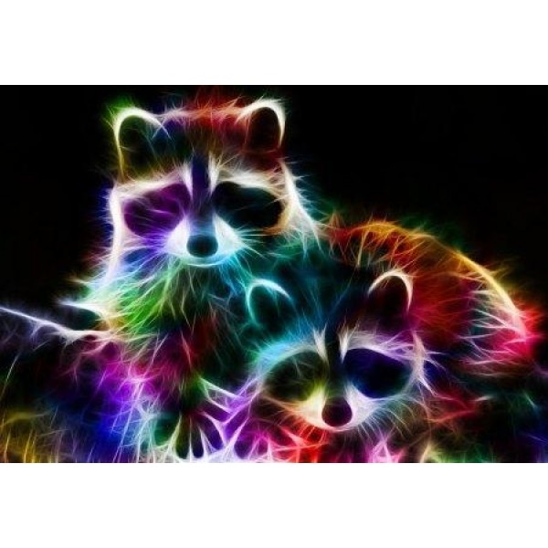 Raccoon Colors Diamond Painting Kit - DIY