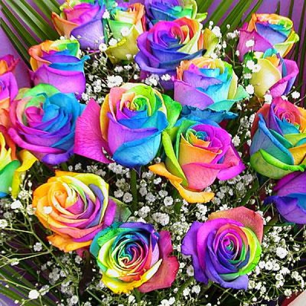 Rainbow Flowers Diamond Painting Kit - DIY Rainbow Flowers-12