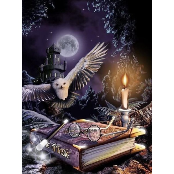 Owl Night Book Diamond Painting Kit - DIY