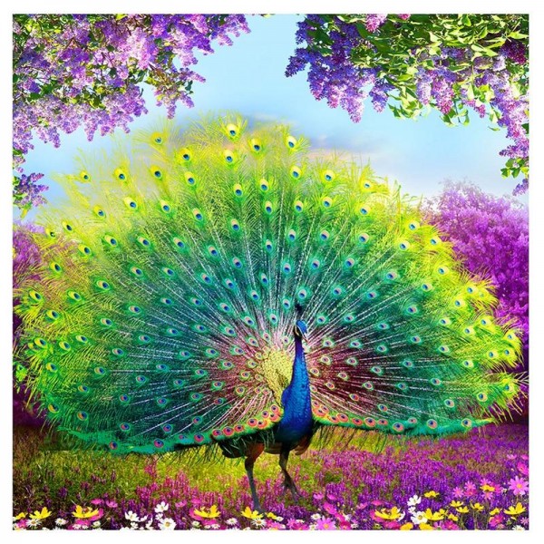 Peacock Wealth And Good Fortune Diamond Painting Kit - DIY